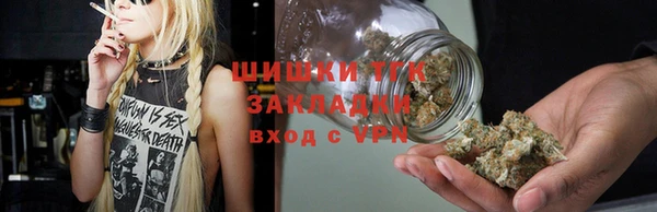 стаф Абинск