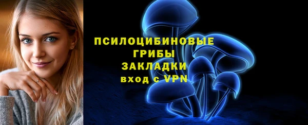 стаф Абинск