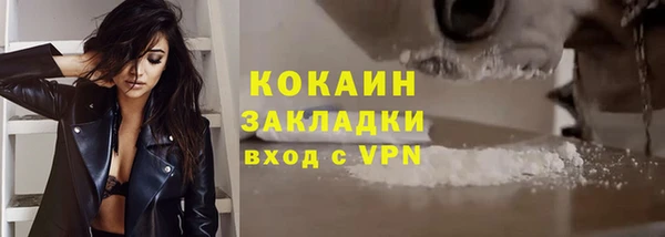 стаф Абинск