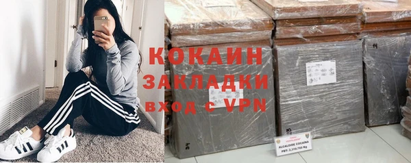 стаф Абинск