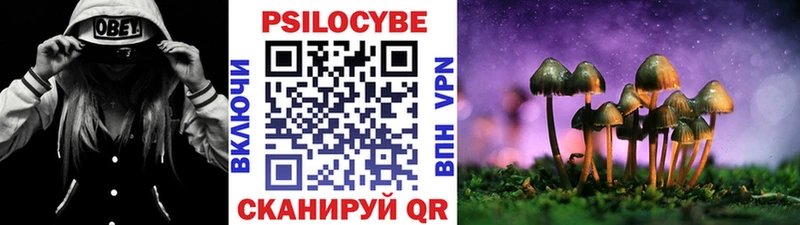 Псилоцибиновые грибы мицелий  Козловка 